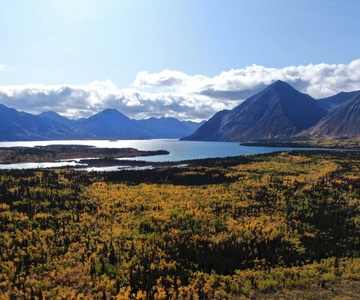 Whitehorse: Parque Nacional de Kluane e viagem de 1 dia a Haines Junction