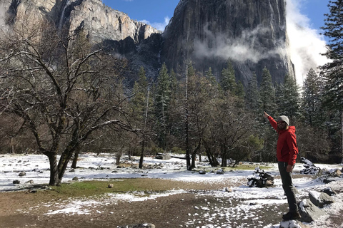 De São Francisco: Tour noturno em Alcatraz e tour diurno em Yosemite