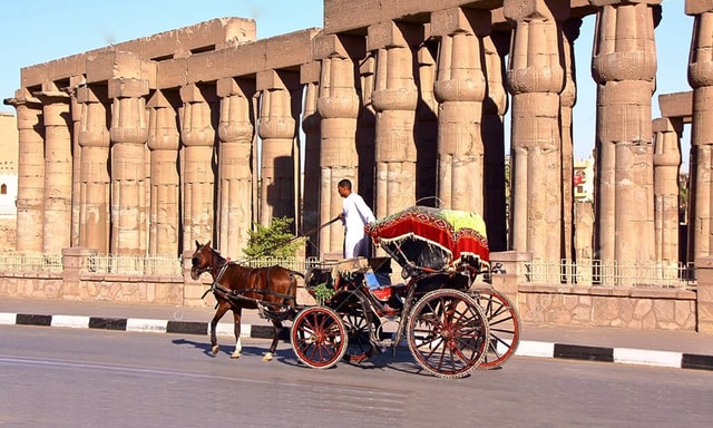 Horse-Drawn Carriage City Tour from West Bank