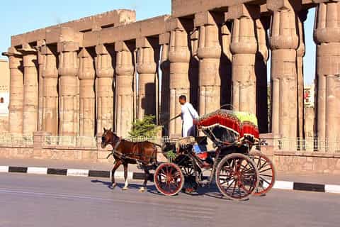 Luxor: Horse-Drawn Carriage City Tour from West Bank