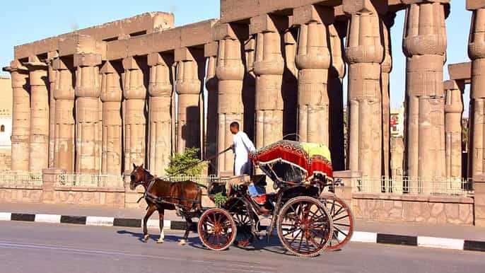 luxor horsedrawn carriage city tour from west bank