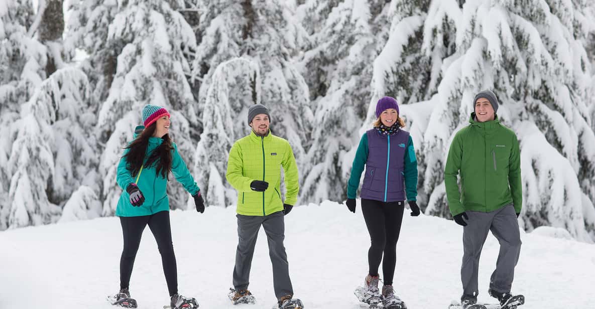 Vancouver: Grouse Mountain Admission Ticket