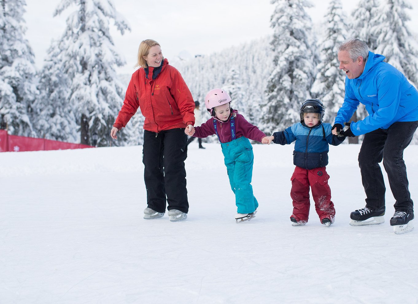 Adgangsbillet til Grouse Mountain Skyride