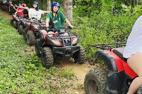 Bali: Dolphin Swimming Tour with ATV Quad Bike & Waterfall Dolphin, Waterfall, Tandem ATV Bike (Central & South Bali)