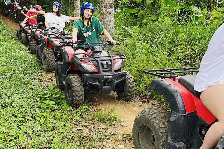 Bali: Dolphin Swimming Tour with ATV Quad Bike & Waterfall Dolphin, Waterfall, Tandem ATV Bike (Central & South Bali)