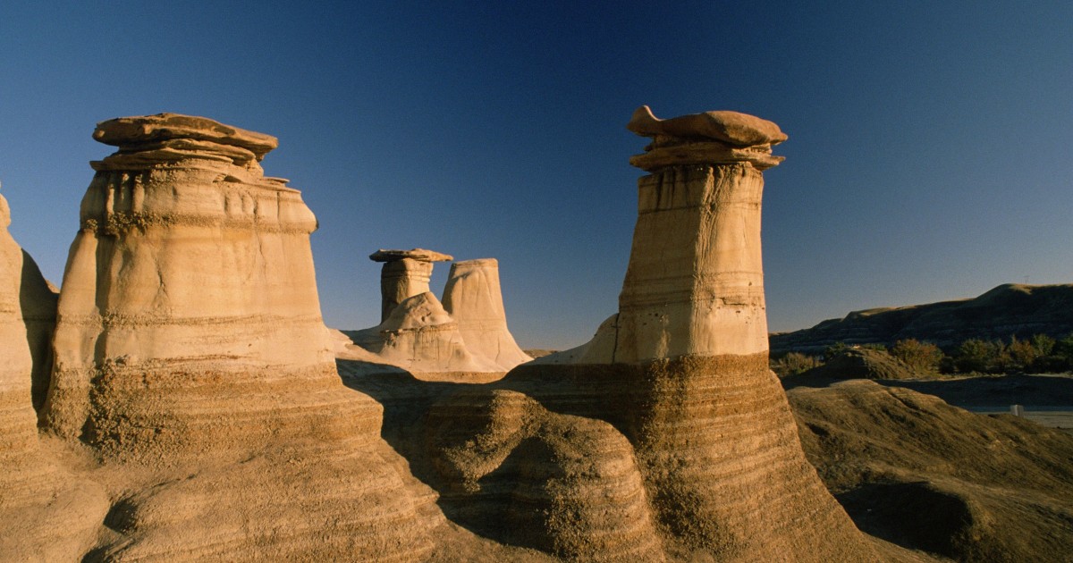 bus tour from calgary to drumheller