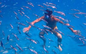 - Canarie.it
