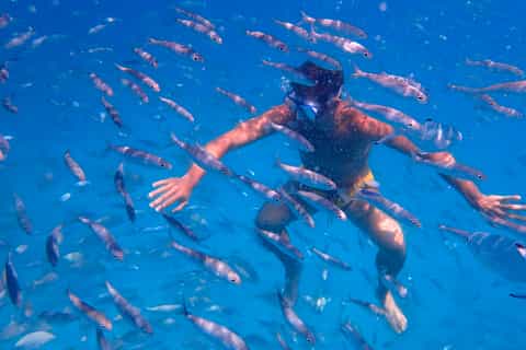 From Corralejo: Lobos Island Entrance and Snorkel Activity