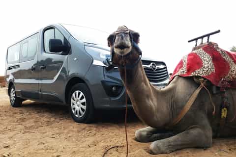 Agadir: Private Camel Ride Experience with Hotel Pickup