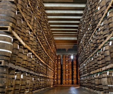 San Pedro De Macoris: Ron Barcerló Rum Factory Tour