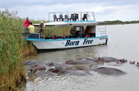Safari del barco de Santa Lucía y excursión del día del gato salvaje Emdoneni - Hizvo