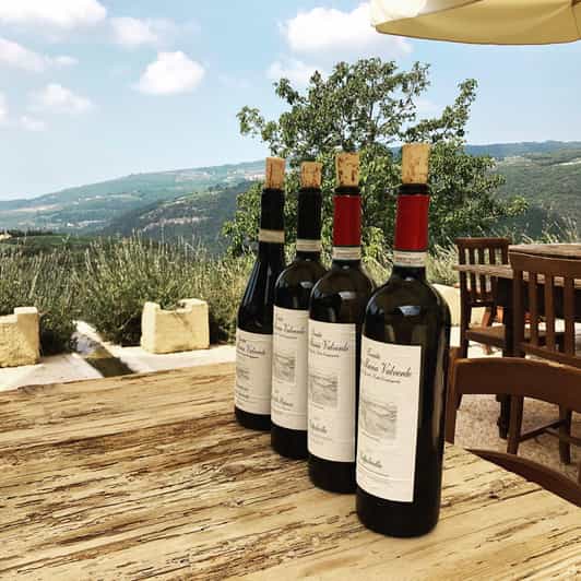 Verona Valpolicella Wine Garden Visit with Wine Tasting GetYourGuide