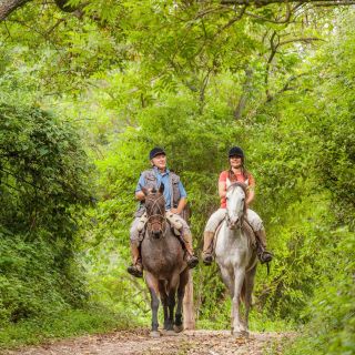 Salta: Horseback Riding in the Mountains with Optional BBQ
