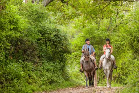 Salta: Horseback Riding in the Mountains with Optional BBQ
