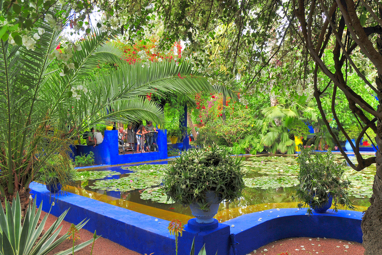 Marrakech: Halvdagstur med Medina Markets