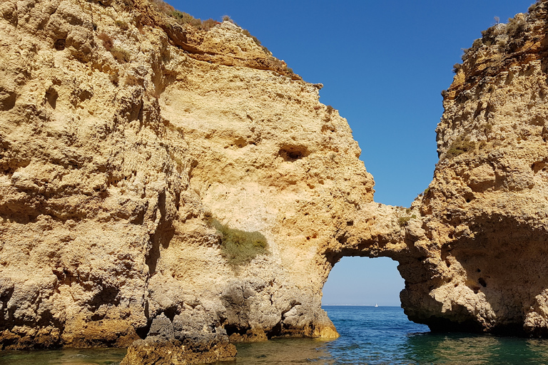 Lagos: Ponta da Piedade Grotto 1-Hour Tour with Local GuideShared Group Tour