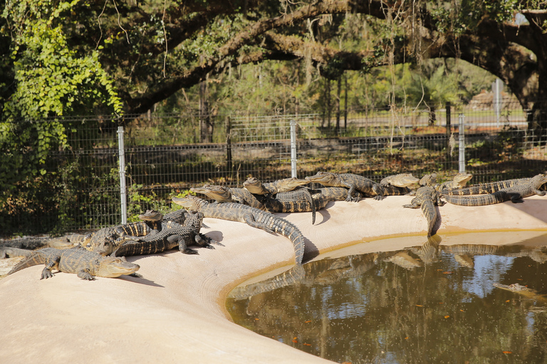 Orlando: Flex Pass Passeios Turísticos, Descontos e BondeFlex Pass Turístico para 2 Atrações