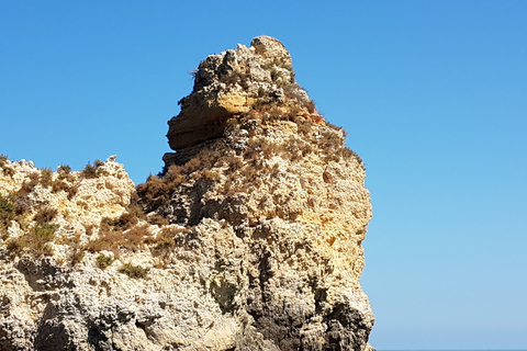 Lagos: Ponta da Piedade Grotto 1-Hour Tour with Local Guide Lagos: Ponta da Piedade Grotto Tour with Local Guide