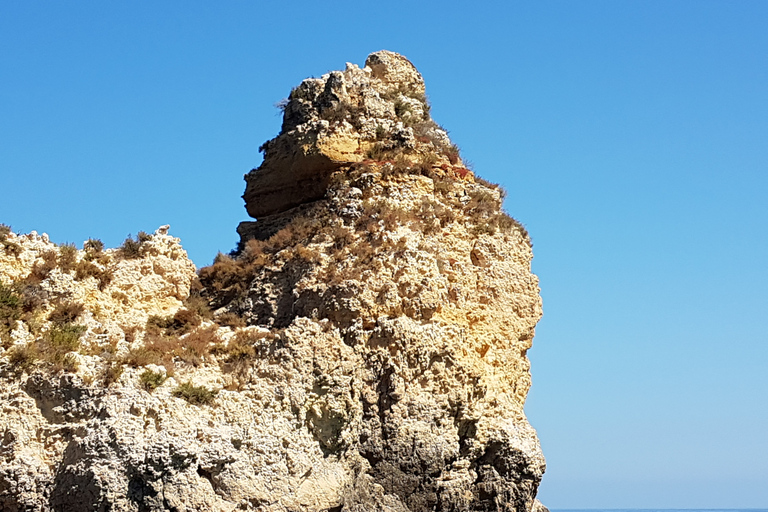 Lagos: Ponta da Piedade Grotto 1-uur durende tour met lokale gidsLagos: Ponta da Piedade-grottour met lokale gids