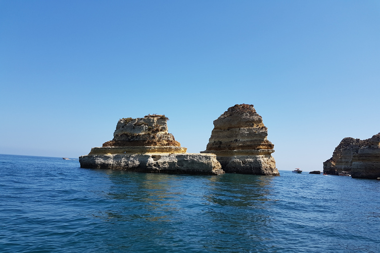 Lagos: Ponta da Piedade Grotto 1-Hour Tour with Local GuideShared Group Tour