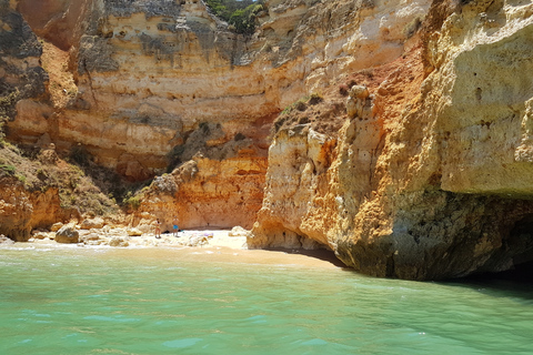 Lagos: Ponta da Piedade Grotto 1-timmes tur med lokal guideDelad gruppresa