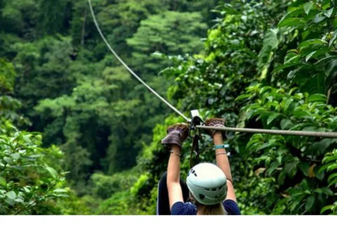 Medellin: 4-Hour Zip-Line Adventure