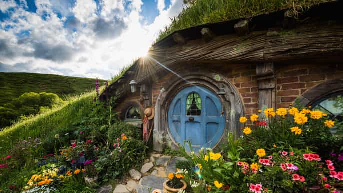 auckland hobbiton and rotorua with te puia tour