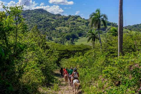 puerto plata halfday mountainside horseback riding
