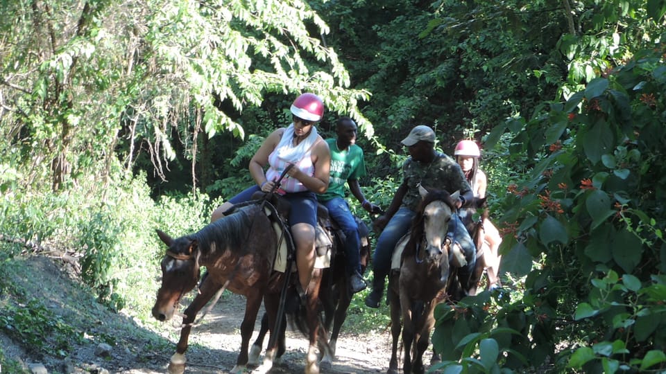 Punta Cana: Avontuur van Zip Line paardrijden met eten