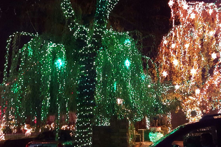 Cidade de Nova York: Passeio pelas luzes de Natal de Dyker HeightsTour em inglês