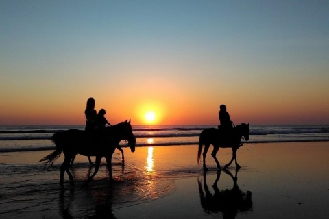 Puerto Plata: paardrijtocht naar Sunset Beach