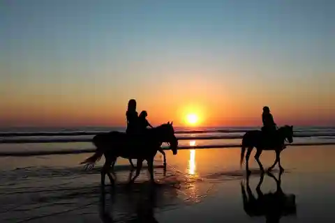 Puerto Plata: Passeio a cavalo na praia ao pôr do sol