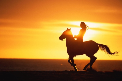 Puerto Plata: paardrijtocht naar Sunset Beach