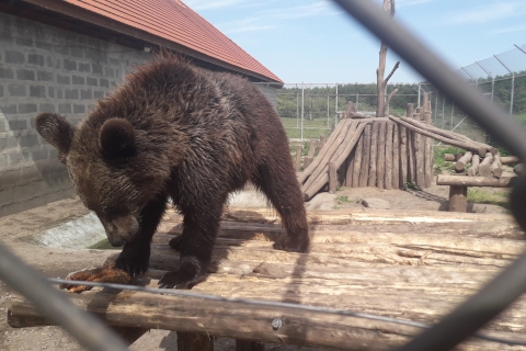Budapeszt: Transport i wycieczka z przewodnikiem po Sanktuarium Niedźwiedzia i Wilka