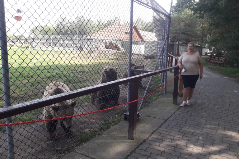 Budapest: transporte y visita guiada al santuario de osos y lobos