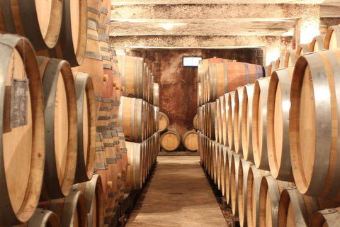 DOMAINE DE MONTMAIN : Visita - Prova - Venda