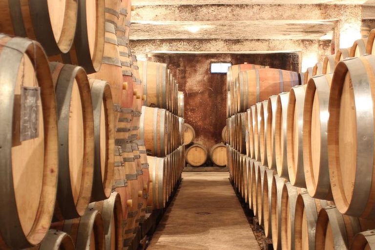 DOMAINE DE MONTMAIN : Visita - Prova - Venda