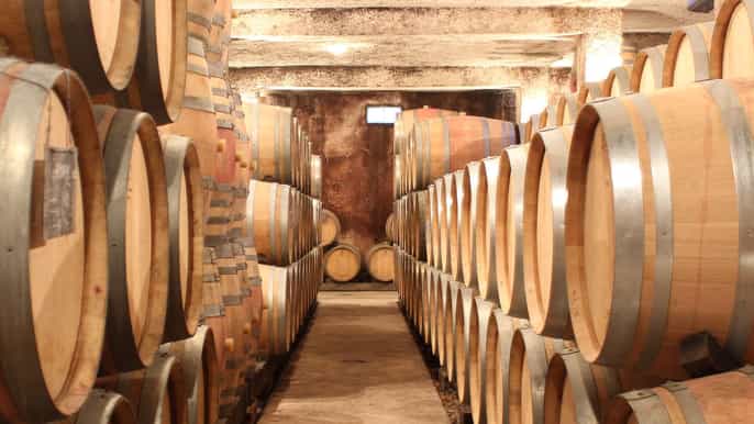 bourgogne visite de cave et dégustation de vins au domaine de montmain