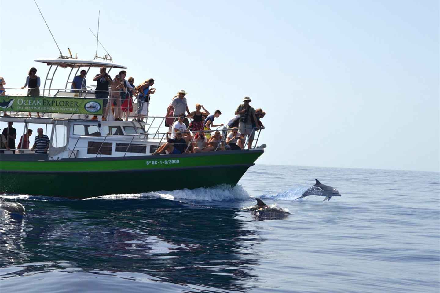 La Palma: Whale Watching Experience and Coastal Highlights