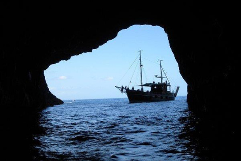 La Palma: 4 hours tour Bussard Classic