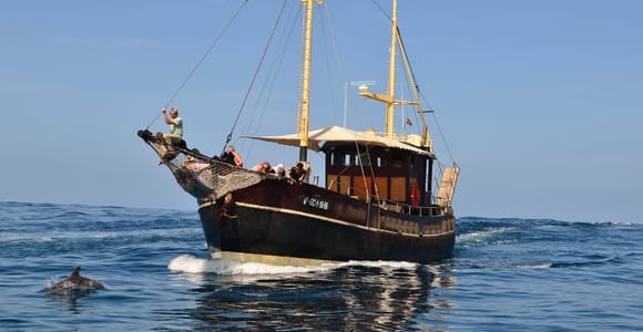 La Palma: 4-Hour Coastline Cruise with Tapas and Barbecue