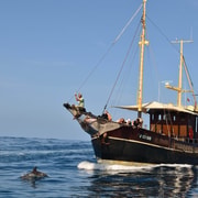 La Palma: 4-Hour Coastline Cruise with Tapas and Barbecue