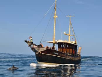 La Palma: Bussard Premium Tour Marine Biology & Nature