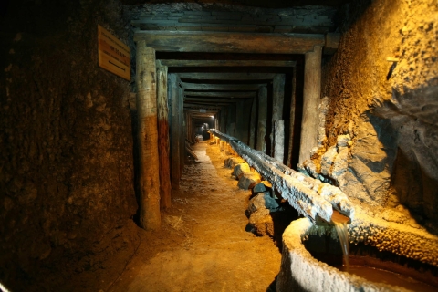 Au départ de Cracovie : Visite de la mine de sel de WieliczkaVisite en anglais - Point de rencontre Zyblikiewicza 2