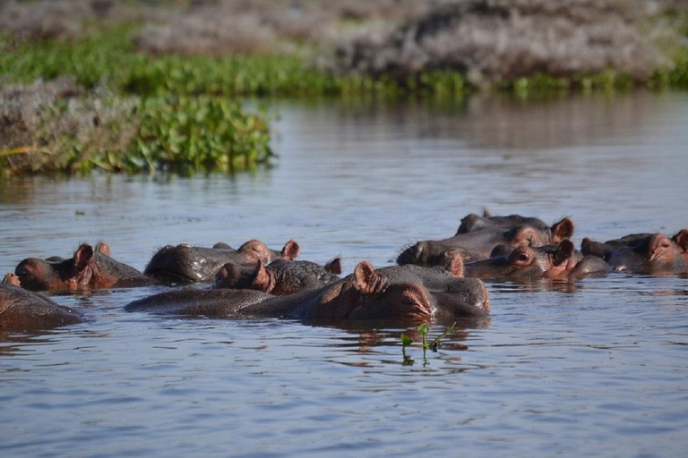 Nairobi: Hell's Gate & Lake Naivasha Day Trip with Boat Ride