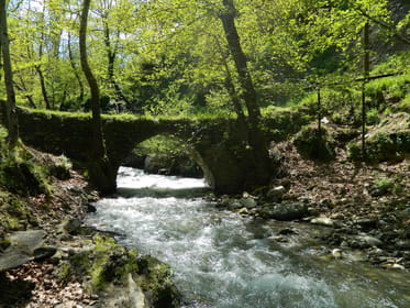 Trabzon, Sumela Monastery Day Tour with Lunch - Housity