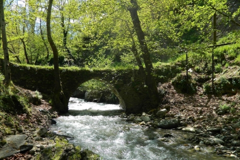 Trabzon: excursión de un día al monasterio de Sumela con almuerzo