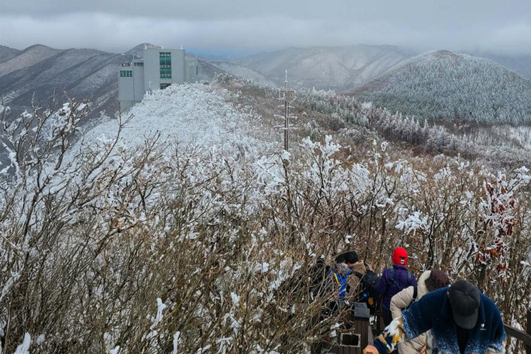 Busan: Discovery Tour With Snow &amp; UNESCO Spot