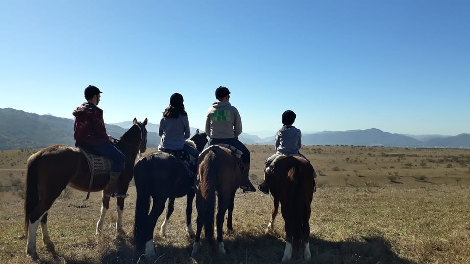 Salta: Horseback Riding in the Mountains