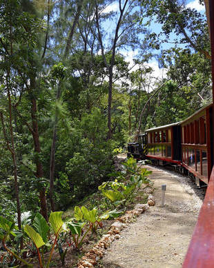 Bridgetown Die BESTEN Sehenswürdigkeiten und Aktivitäten 2024